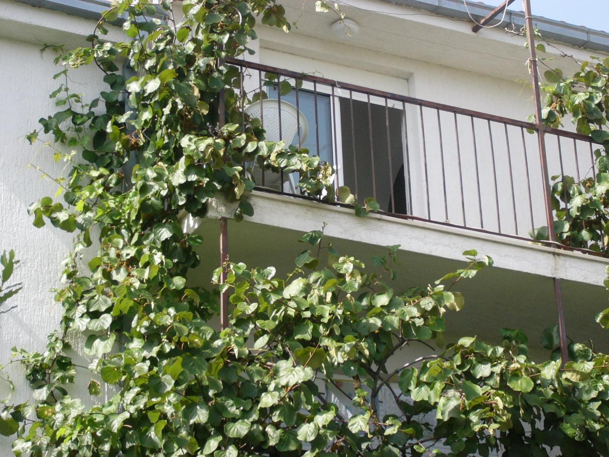 Apartments Prizmic Podstrana Exterior foto